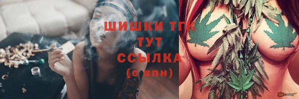 крисы Гусиноозёрск